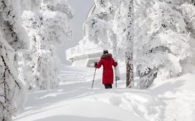 Chalets Du Domaine - De Luxe